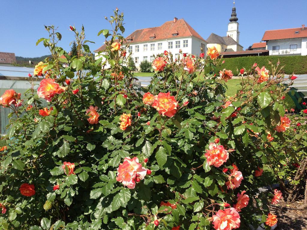 Haus Rose Daire Wenigzell Dış mekan fotoğraf